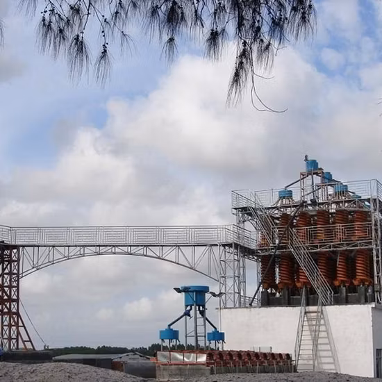 Ls3000 Massive SS316 Screw Conveyor Spiral Conveyor/Helix Conveyor/Auger Conveyor/Agitator for Conveying & Mixing