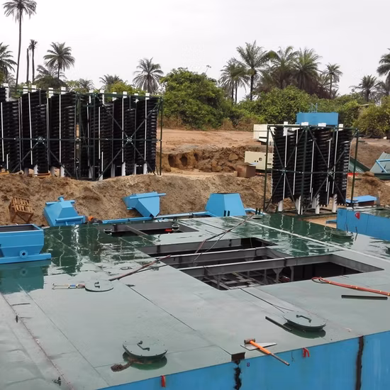 Ls3000 Massive SS316 Screw Conveyor Spiral Conveyor/Helix Conveyor/Auger Conveyor/Agitator for Conveying & Mixing