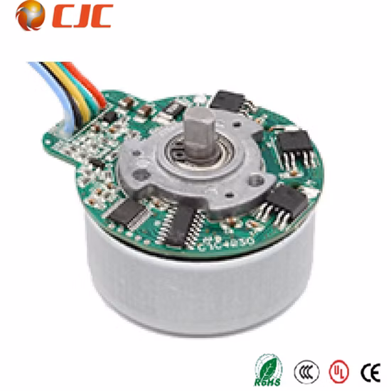 Kinmore Small 12V 24V Massage Ie1 Vibration Motor Micro Mini 12 Volt Electric Eccentric Vibrating DC Motor for Sexy Toy Dildo