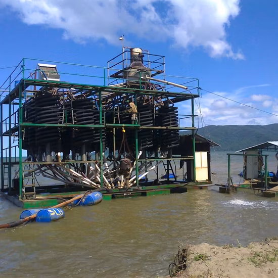 Ls3000 Massive SS316 Screw Conveyor Spiral Conveyor/Helix Conveyor/Auger Conveyor/Agitator for Conveying & Mixing